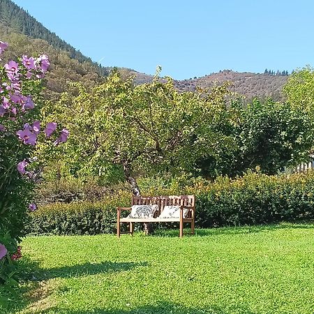 Hotel Finca Malvasia - Adults Only Cabezón de Liébana エクステリア 写真